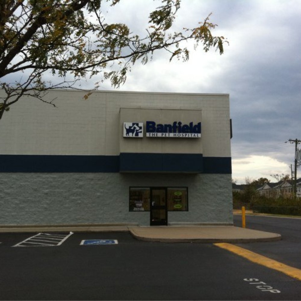 PetSmart - Pet Stores Near Me - Madison, Tennessee