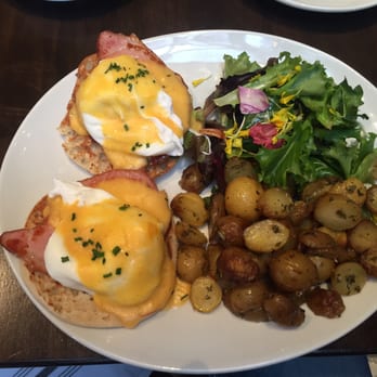 Ollo - Eggs Benedict - New American Near Me - Malibu, California Ollo - Eggs Benedict - New American Near Me - Malibu, California