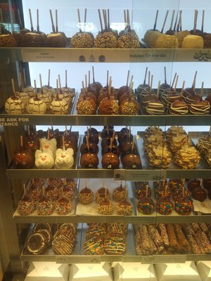 Rocky Mountain Chocolate by null