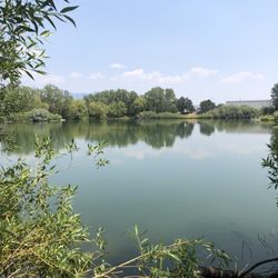 Bozeman Pond - Scenic