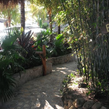 Guanabanas - Seafood Near Me - Jupiter, Florida Guanabanas - Seafood Near Me - Jupiter, Florida