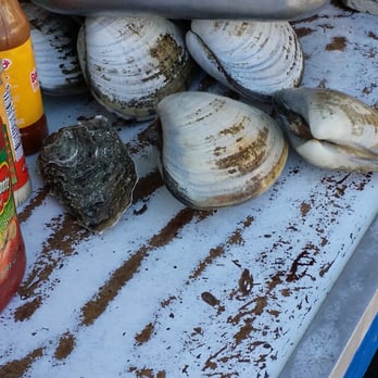 Mariscos Villafana - Fresh clams they were about to make clam ceviche. Almejas freacas - Mexican Near Me - Ensenada, BCN Mariscos Villafana - Fresh clams they were about to make clam ceviche. Almejas freacas - Mexican Near Me - Ensenada, BCN