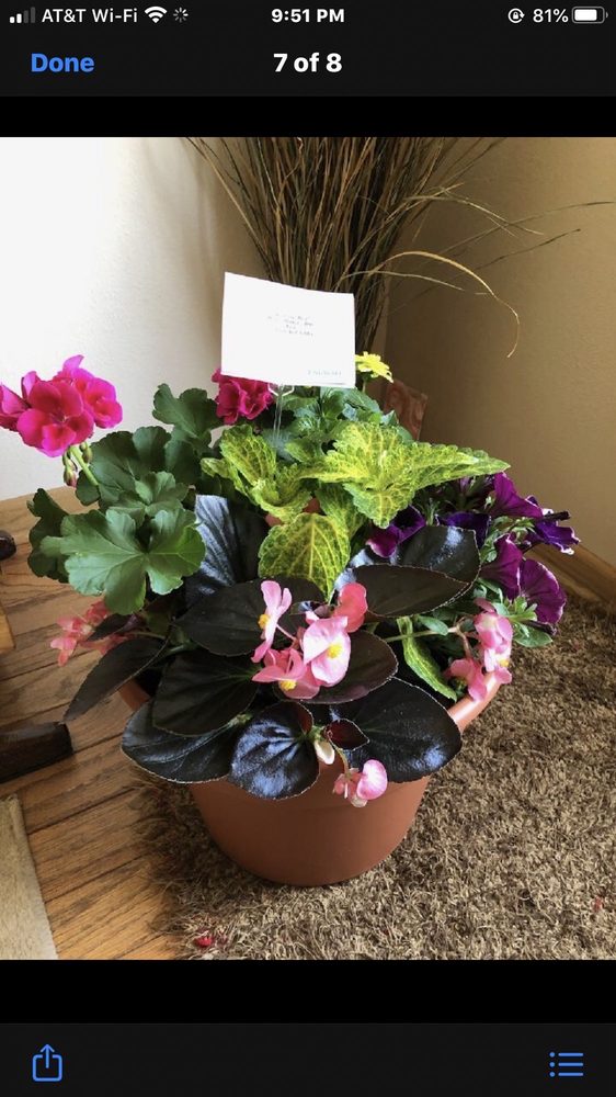 ENGWALLS FLORIST GREENHOUSES GARDEN CENTERS Updated May 2024 31