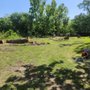 Photo of Ochoas Trees Services