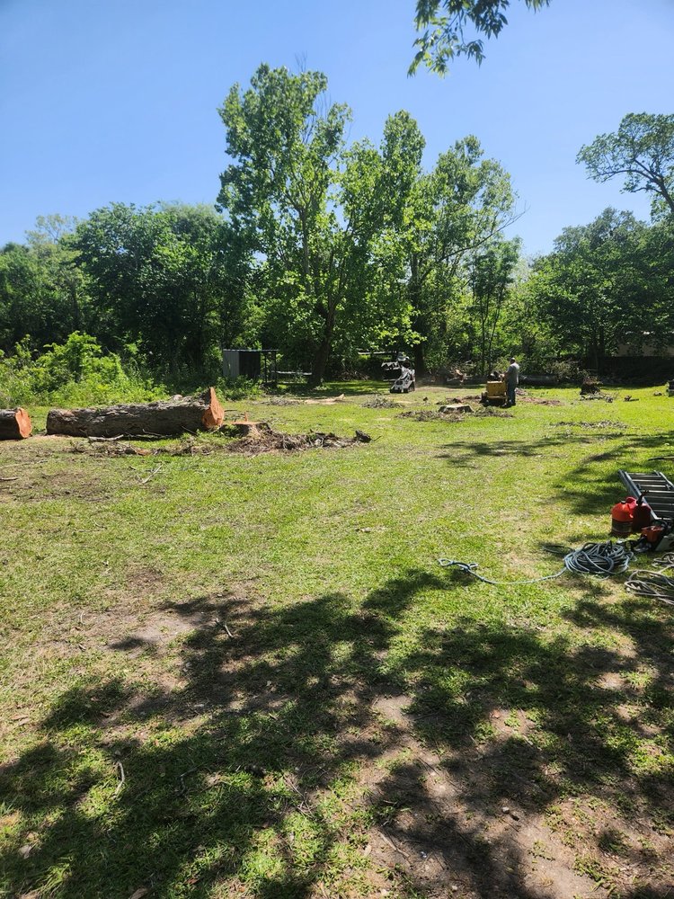 Ochoas Trees Services - tree service in Houston, TX