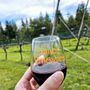 Photo of Sailor Vineyard