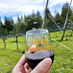 Sailor Vineyard - The glasses come with the tasting