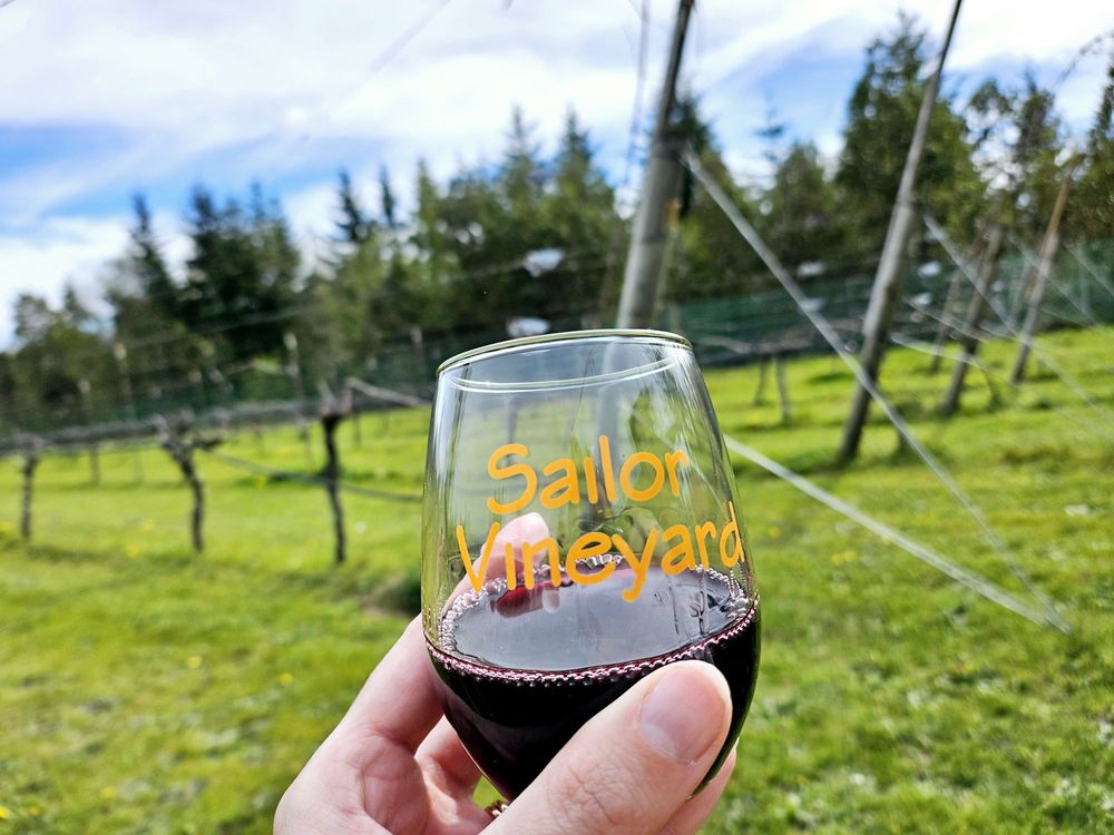 Sailor Vineyard Logo