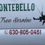 Photo of Montebello Tree Service