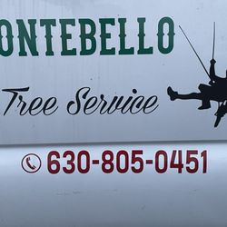 Montebello Tree Service