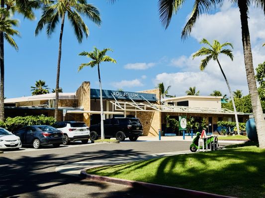 Waikiki Aquarium by null