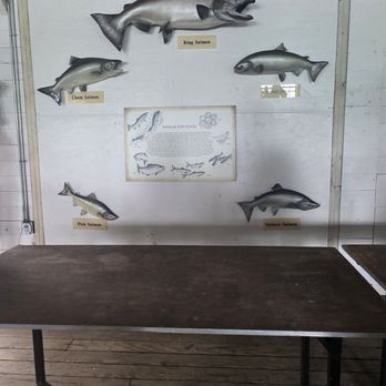 George Inlet Cannery - Tours Near Me - Ketchikan, Alaska