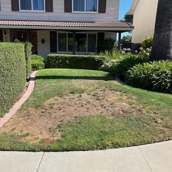 Cal Pro Artificial Turf - Before - Artificial Turf Near Me - San Jose, California Cal Pro Artificial Turf - Before - Artificial Turf Near Me - San Jose, California