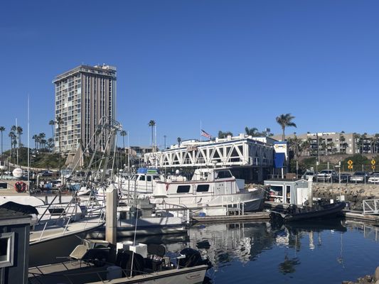 Trader Joe's by null