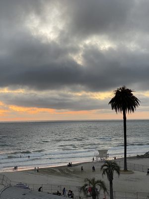 Moonlight State Beach by null