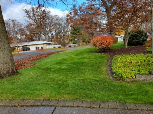 Lawn Services and Maintenance - Need a weekly or monthly lawn service? Maybe you're looking for a cleanup or land clearing. We can do it all, so call today for a quote and to have your dream lawn! Lawn Services and Maintenance - Need a weekly or monthly lawn service? Maybe you're looking for a cleanup or land clearing. We can do it all, so call today for a quote and to have your dream lawn!
