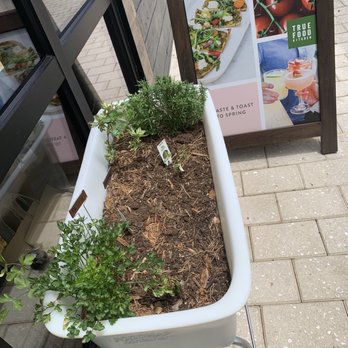 True Food Kitchen - Garden box - New American Near Me - Boca Raton, Florida True Food Kitchen - Garden box - New American Near Me - Boca Raton, Florida