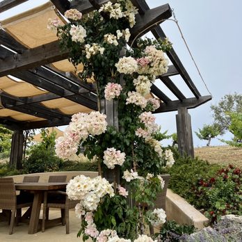 Ridge Vineyards - Monte Bello - Wineries Near Me - Cupertino, California Ridge Vineyards - Monte Bello - Wineries Near Me - Cupertino, California