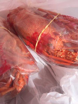 Lobster Shack Cervantes WA by null