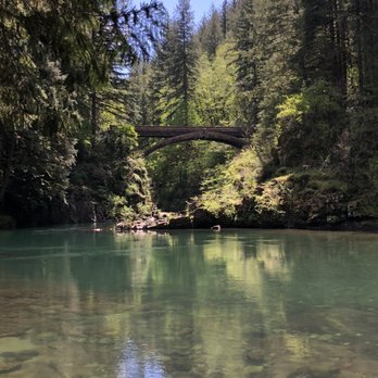 Moulton Falls Regional Park - The bridge/trail above Moulton Falls. - Hiking Near Me - Yacolt, Washington