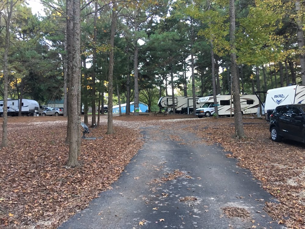 PALESTINE RV PARK Updated September 2024 410 An County Rd 148