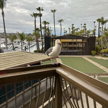 Humphreys Half Moon Inn - San Diego, CA