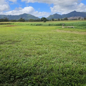 Sweet Land Farm - Cheese Shops Near Me - Waialua, Hawaii Sweet Land Farm - Cheese Shops Near Me - Waialua, Hawaii