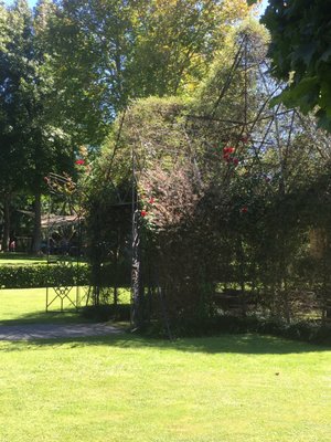 TreeChurch and Gardens by null