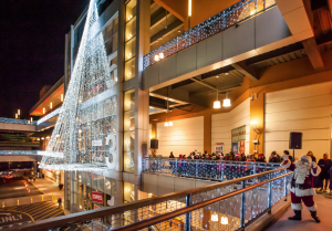 Bronx Terminal Market by null