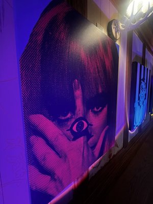 The Franklin Castle (Hannes Tiedemann House) by null