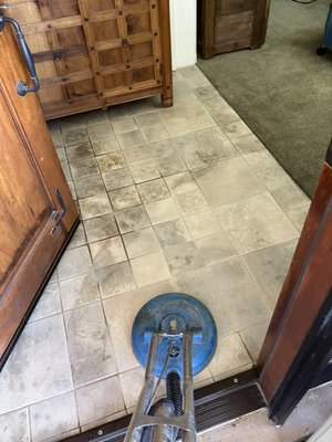 Steamex Carpet Cleaning on Yelp
