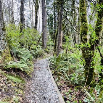 Coal Creek Natural Area - Parks Near Me - Bellevue, Washington Coal Creek Natural Area - Parks Near Me - Bellevue, Washington