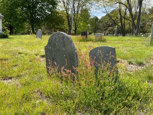 Western Cemetery by null