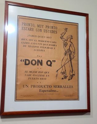 Museo Castillo Serrallés by null