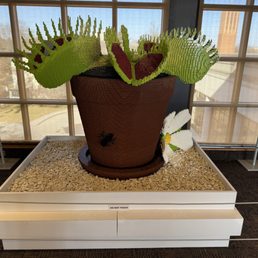 Lego Venus fly trap Lego Venus fly trap