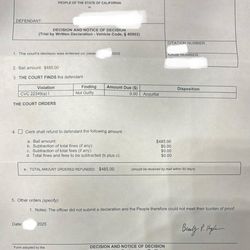 Ticket Ninja - The court notice upon dismissing the case.