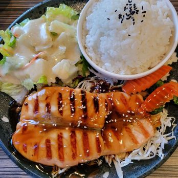 Nikko Sushi - Teriyaki salamon - Sushi Bars Near Me - Berkeley, California