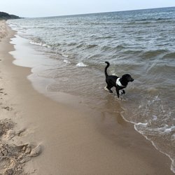 Kruse Park Lake Michigan Beach