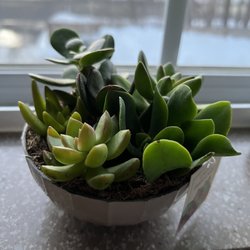 Trader Joe's