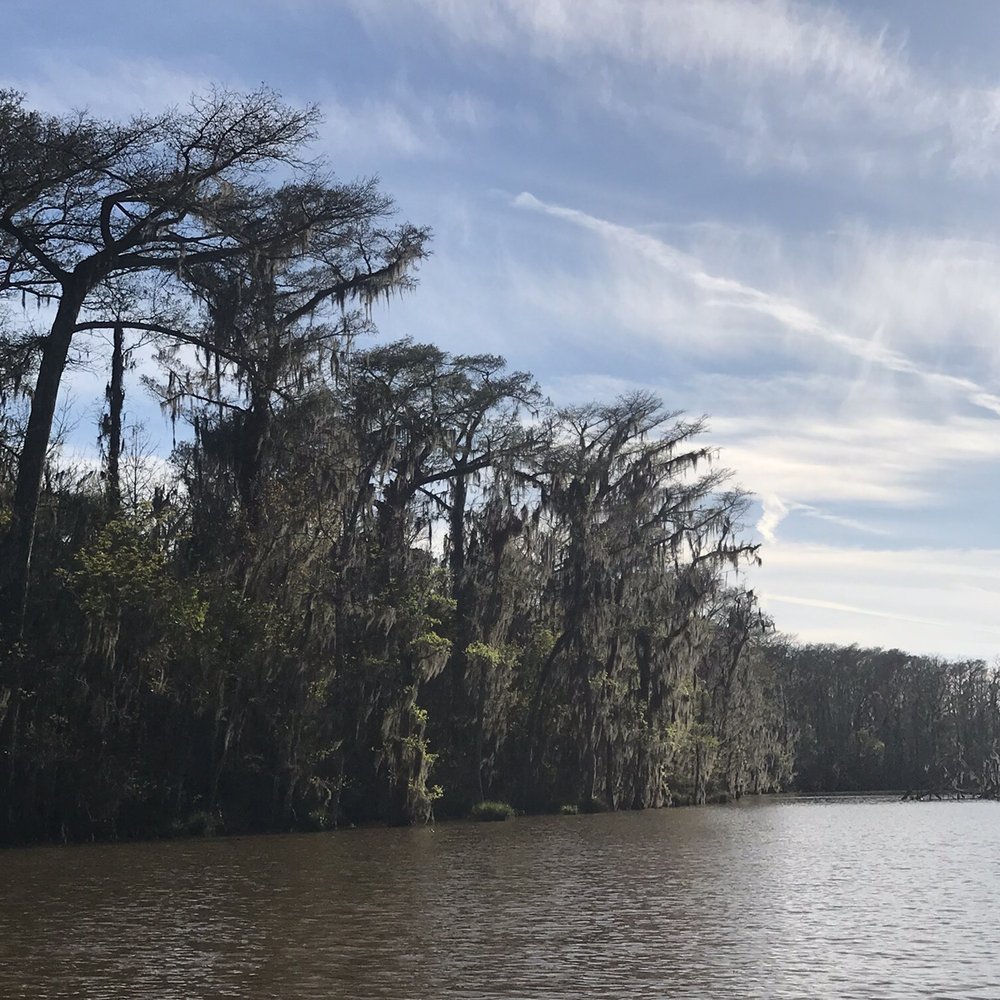 Pearl River Swamp Tours - Beautiful view - Tours Near Me - Slidell, Louisiana Pearl River Swamp Tours - Beautiful view - Tours Near Me - Slidell, Louisiana