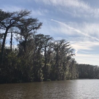 Pearl River Swamp Tours - Beautiful view - Tours Near Me - Slidell, Louisiana Pearl River Swamp Tours - Beautiful view - Tours Near Me - Slidell, Louisiana