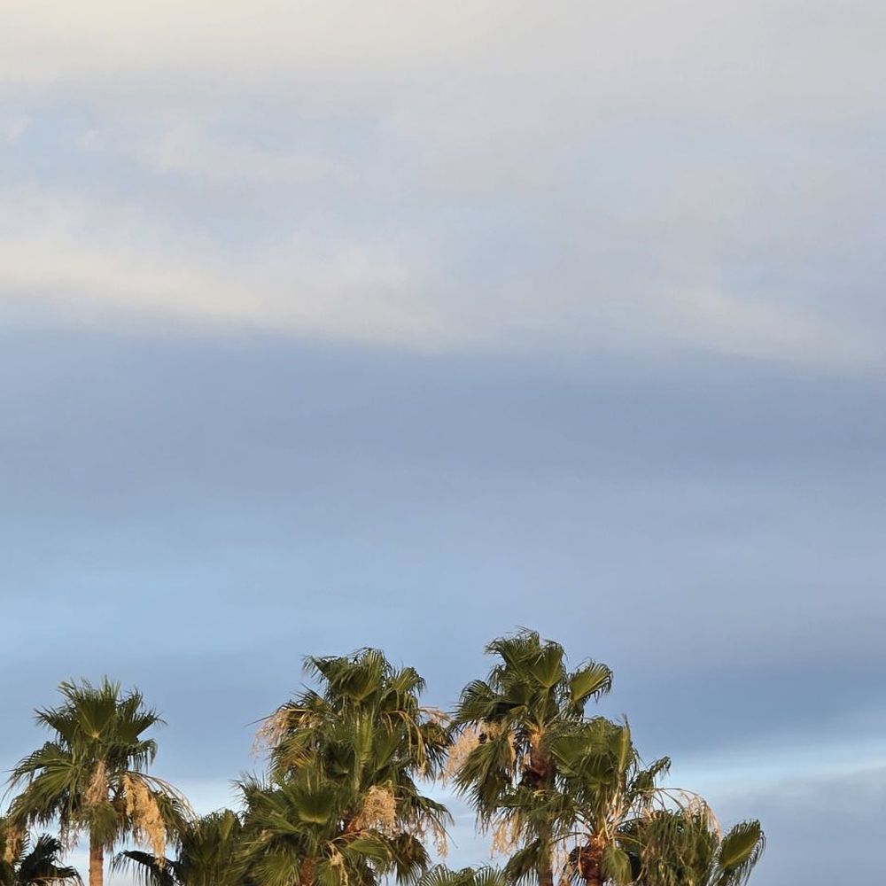 Screenshot della dashboard di Verde Casino it