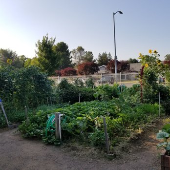 Eskaton Jefferson Manor - Our community garden. If you love gardening, you can have your own little spot!! - Home Health Care Near Me - Sacramento, California Eskaton Jefferson Manor - Our community garden. If you love gardening, you can have your own little spot!! - Home Health Care Near Me - Sacramento, California