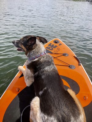 Coastal Maine Hike and Bike by null