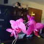 Photo of Lakeside Lutheran Church