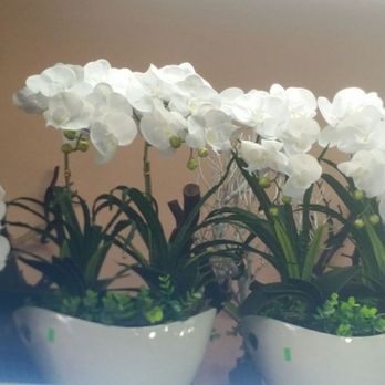 Flora Clay - Florists Near Me - Los Angeles, California Flora Clay - Florists Near Me - Los Angeles, California