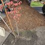 Photo of Norcal Wholesale Bark