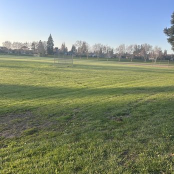 Peterson Park - Open field - Parks Near Me - Lodi, California Peterson Park - Open field - Parks Near Me - Lodi, California
