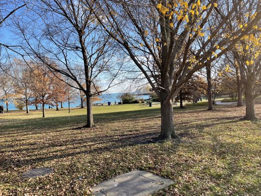 Northerly Island Park by null