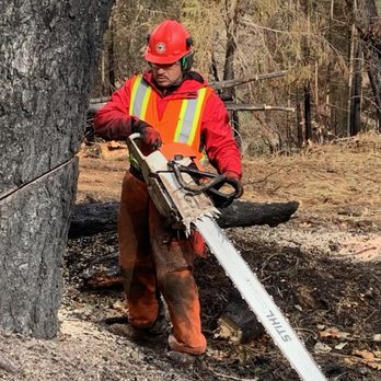 Lemur Tree Aid - Wildfire hazardous tree removal - Tree Services Near Me Lemur Tree Aid - Wildfire hazardous tree removal - Tree Services Near Me